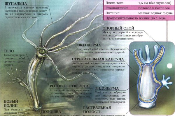 Kraken официальный сайт ссылка через tor